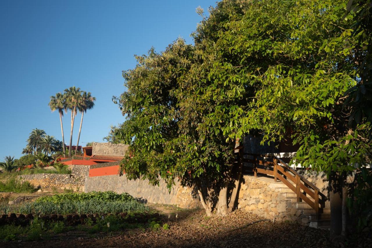 Finca Pico Los Realejos Eksteriør bilde