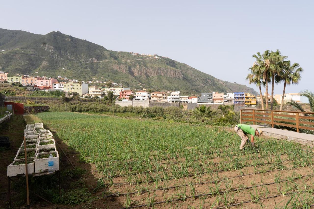 Finca Pico Los Realejos Eksteriør bilde