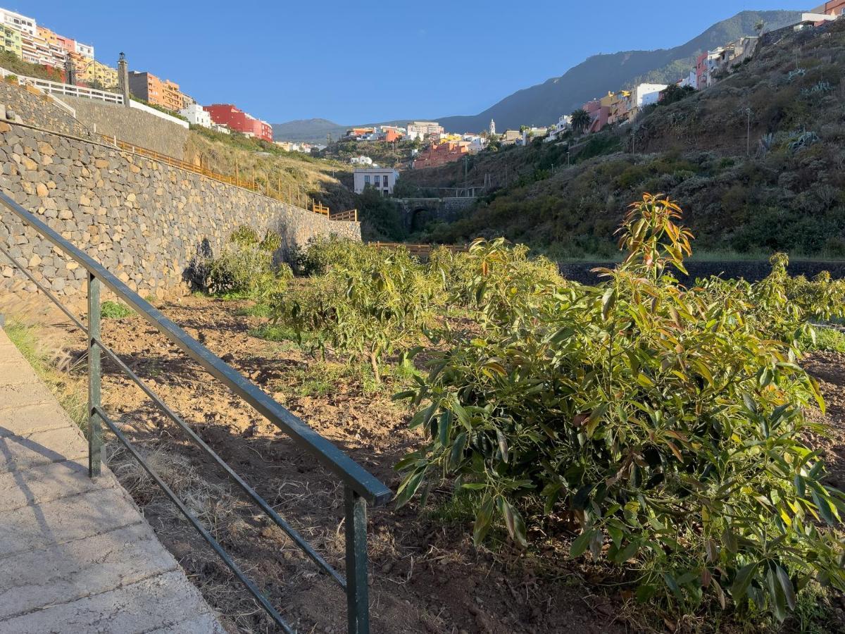 Finca Pico Los Realejos Eksteriør bilde