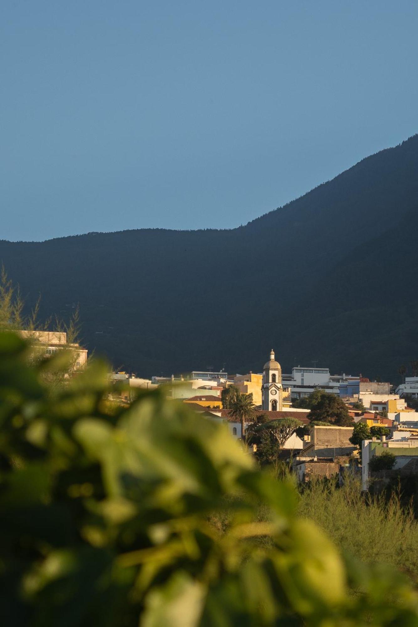 Finca Pico Los Realejos Eksteriør bilde